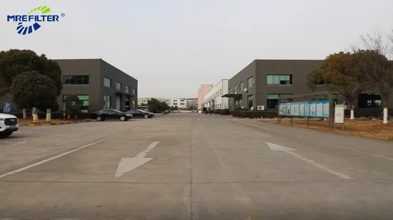 Wholesale Factory Price Fs20176 Auto Air Oil Lube Water Trucks Parts Diesel Fuel Filter for Freightliner Engines R61709