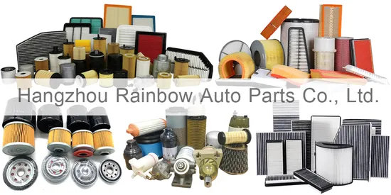 Professional China Manufacturer 1r