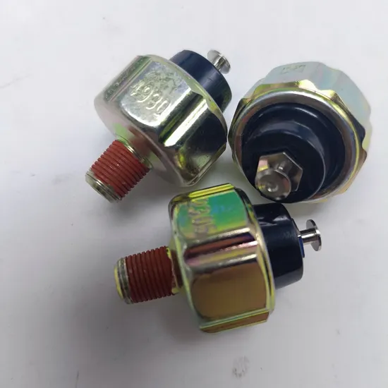 1002080bb Original for Jmc High Quality Car Accessories Oil Pressure Sensor Switch for Isuzu Adapt Nhr54 N800 